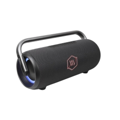 Loa Di Động Alpha Works iKON 30