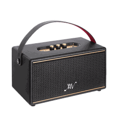 Loa Bluetooth Alpha Works Classic V80