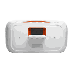 Loa JBL PartyBox On-the-Go 2 Plus (2 MICs)