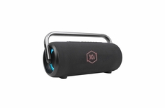 Loa Bluetooth Alpha Works iKON 20 - Hàng Chính Hãng PGI