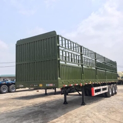 somiromooc-tai-co-mui-mooc-long