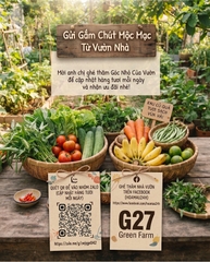 Rau tươi từ G27 Green Farm đến bạn