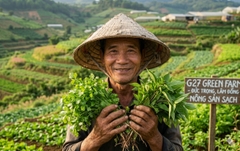 Hồ sơ năng lực 2026