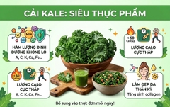 Cải Kale: Vua Của Các Loại Rau Xanh