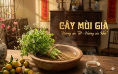 Tắm nước mùi già để gột rửa bụi trần