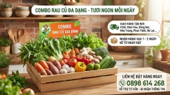 Combo rau đa dạng - G27 green Farm