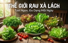 Thế giới rau Xà lách G27 Green Farm