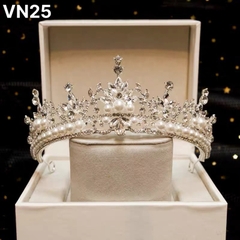VN25