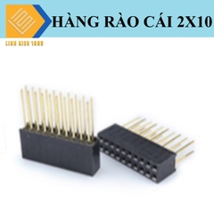 Hàng rào cái đôi 2x10 2.54mm Cao 19.5mm