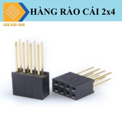 Hàng rào cái đôi 2x4 2.54mm Cao 19.5mm