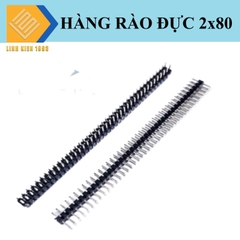 Hàng rào đực đôi 2.0mm 80 chân 2 hàng