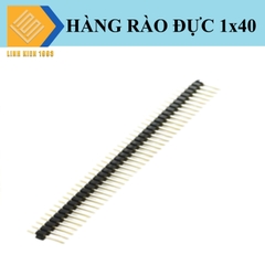 Hàng rào đực đơn 2.54mm 40 chân 1 hàng