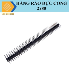 Hàng rào đực đôi 2.0mm 80 chân 2 hàng chân cong