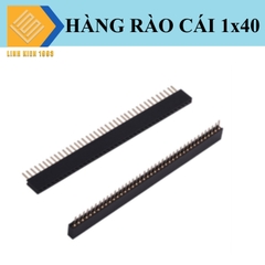 Hàng rào cái đơn 1.27mm 40 chân 1 hàng cao 4.3mm