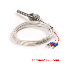 Cảm biến nhiệt độ RTD PT100