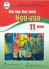 Bài Tập Đọc Hiểu Ngữ Văn Lớp 11 Tập 1 (Cánh Diều)