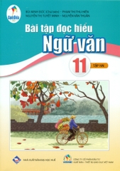 Bài Tập Đọc Hiểu Ngữ Văn Lớp 11 Tập 2 (Cánh Diều)