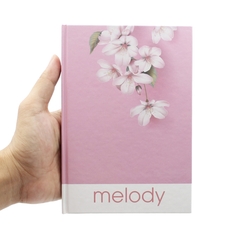 Sổ Bìa Cứng Hải Tiến Melody 5 7383 160Tr