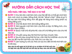 Thẻ Học Thông Minh Song Ngữ Anh - Việt - Động Vật Côn Trùng