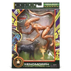 Đồ Chơi Alien Collection Speacial Edition - Xenomorph Runner 31316