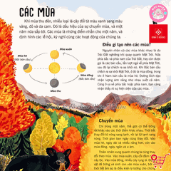 Sách - Vạn vật biến đổi - Bách khoa tri thức cho trẻ từ 6 - 12 tuổi - Đinh Tị Books