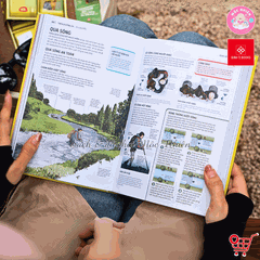 Sách - Cẩm nang sinh tồn (Hơn 100 kỹ năng sống còn cho các cuộc phiêu lưu nơi hoang dã) - Đinh Tị Books