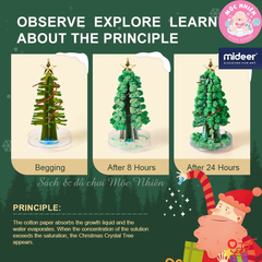 Cây Thông Noel Thần Kỳ Để Bàn Tự Nở Hoa Tuyết - Mideer Magic Christmas Tree - Quà Giáng Sinh Cho Bé Từ 6 Tuổi