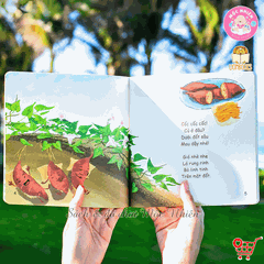 Bộ 02 cuốn sách - Muôn điều kì diệu Phần 2 (Củ đang nằm ngủ và Lúc lỉu trên cành) - Lionbooks