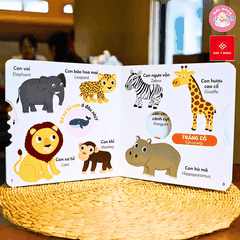 Sách - Xoay xoay xoay - Đi tìm… - Đinh Tị Books