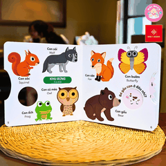 Sách - Xoay xoay xoay - Đi tìm… - Đinh Tị Books