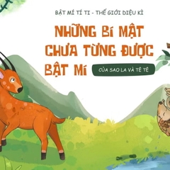 Sách - Bộ 2 cuốn Sao la và Tê tê - Series Bật mí tí ti Thế giới diệu kì cho bé 2-8 tuổi