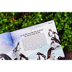 Sách - Everything Under The Sun - 366 câu hỏi lý thú của trẻ từ 6 tuổi - Đinh Tị Books