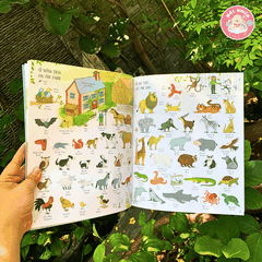 Sách - Cuốn Sách Lớn Về Từ Vựng Tiếng Anh - Big Book Of English Words ( Tái bản 2026 ) - Ehomebooks