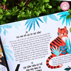 Sách - Everything Under The Sun - 366 câu hỏi lý thú của trẻ từ 6 tuổi - Đinh Tị Books
