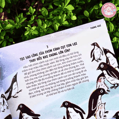 Sách - Everything Under The Sun - 366 câu hỏi lý thú của trẻ từ 6 tuổi - Đinh Tị Books