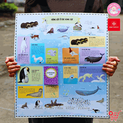 Sách Atlas Động Vật – Khám Phá Thế Giới Động Vật (6 tuổi trở lên) – Đinh Tị Books