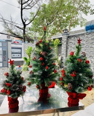 Cây thông Noel để bàn kèm phụ kiện trang trí (hàng công ty)