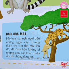 Sách Atlas Động Vật – Khám Phá Thế Giới Động Vật (6 tuổi trở lên) – Đinh Tị Books