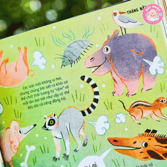Sách - Everything Under The Sun - 366 câu hỏi lý thú của trẻ từ 6 tuổi - Đinh Tị Books