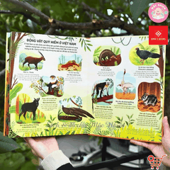 Big Book - Cuốn sách khổng lồ về động vật hoang dã - Đinh Tị Books