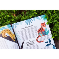 Sách - Everything Under The Sun - 366 câu hỏi lý thú của trẻ từ 6 tuổi - Đinh Tị Books