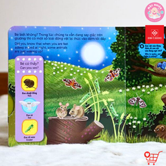 Sách chuyển động First Explorer - Động vật ban đêm - Đinh Tị Books