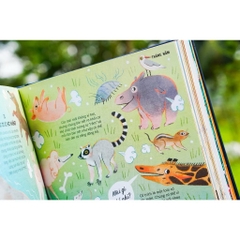 Sách - Everything Under The Sun - 366 câu hỏi lý thú của trẻ từ 6 tuổi - Đinh Tị Books