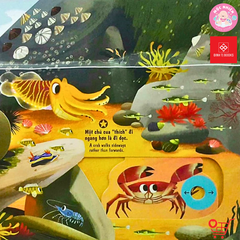 Sách chuyển động First Explorers - Sinh vật biển - Đinh Tị Books