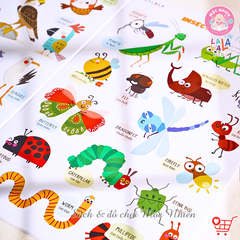 Combo 03 Bảng gấp thông thái My First Learning chart (3 chủ đề) - Lalala Baby