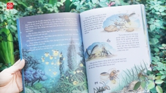 Sách - Truyện tranh khoa học về các loài côn trùng - Đinh Tị Books