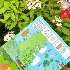 Sách - Bé rèn trí thông minh qua hoạt động quan sát và tìm kiếm - 05 chủ đề dành cho bé 0 - 6 tuổi - Đinh Tị Books