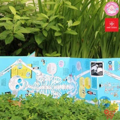 Big Book - Cuốn sách khổng lồ về cơ thể người - Đinh Tị Books