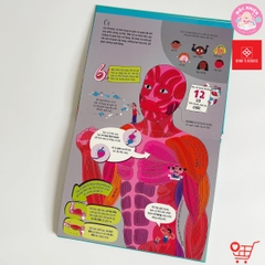 Big Book - Cuốn sách khổng lồ về cơ thể người - Đinh Tị Books