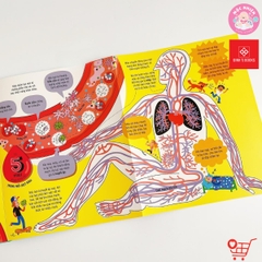 Big Book - Cuốn sách khổng lồ về cơ thể người - Đinh Tị Books